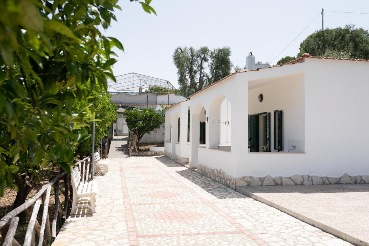 Penta Garden Peschici Exterior foto